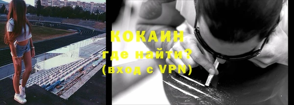 крисы Аркадак