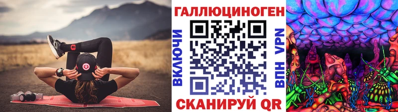ссылка на мегу зеркало Бугуруслан Галлюциногенные грибы Psilocybe